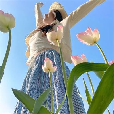 桂宝之爆笑闯宇宙